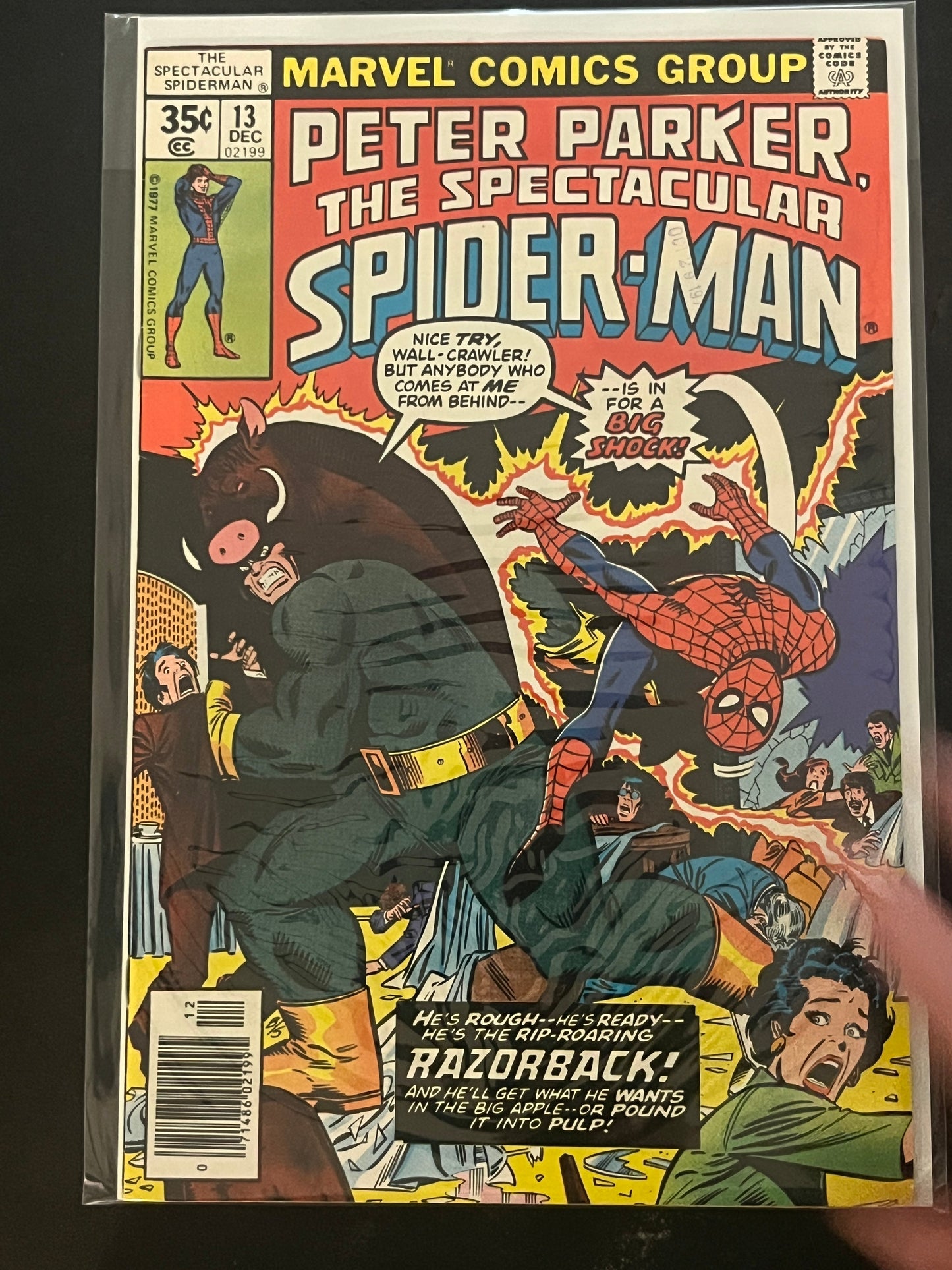 Peter Parker the Spectacular Spider-Man 13 NM