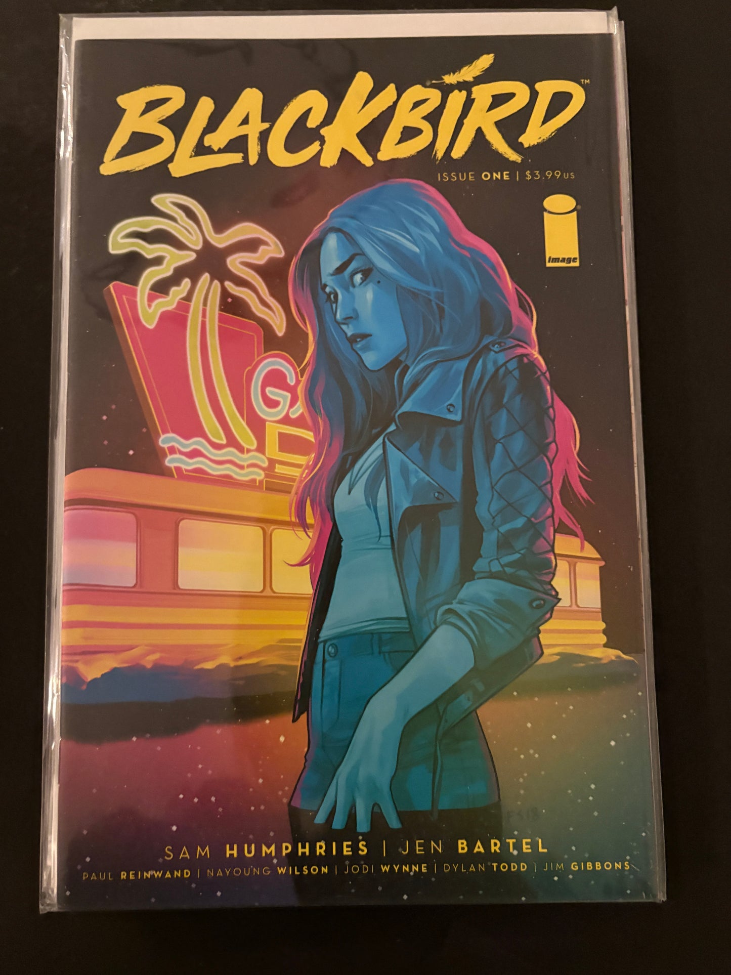 Blackbird 1 NM