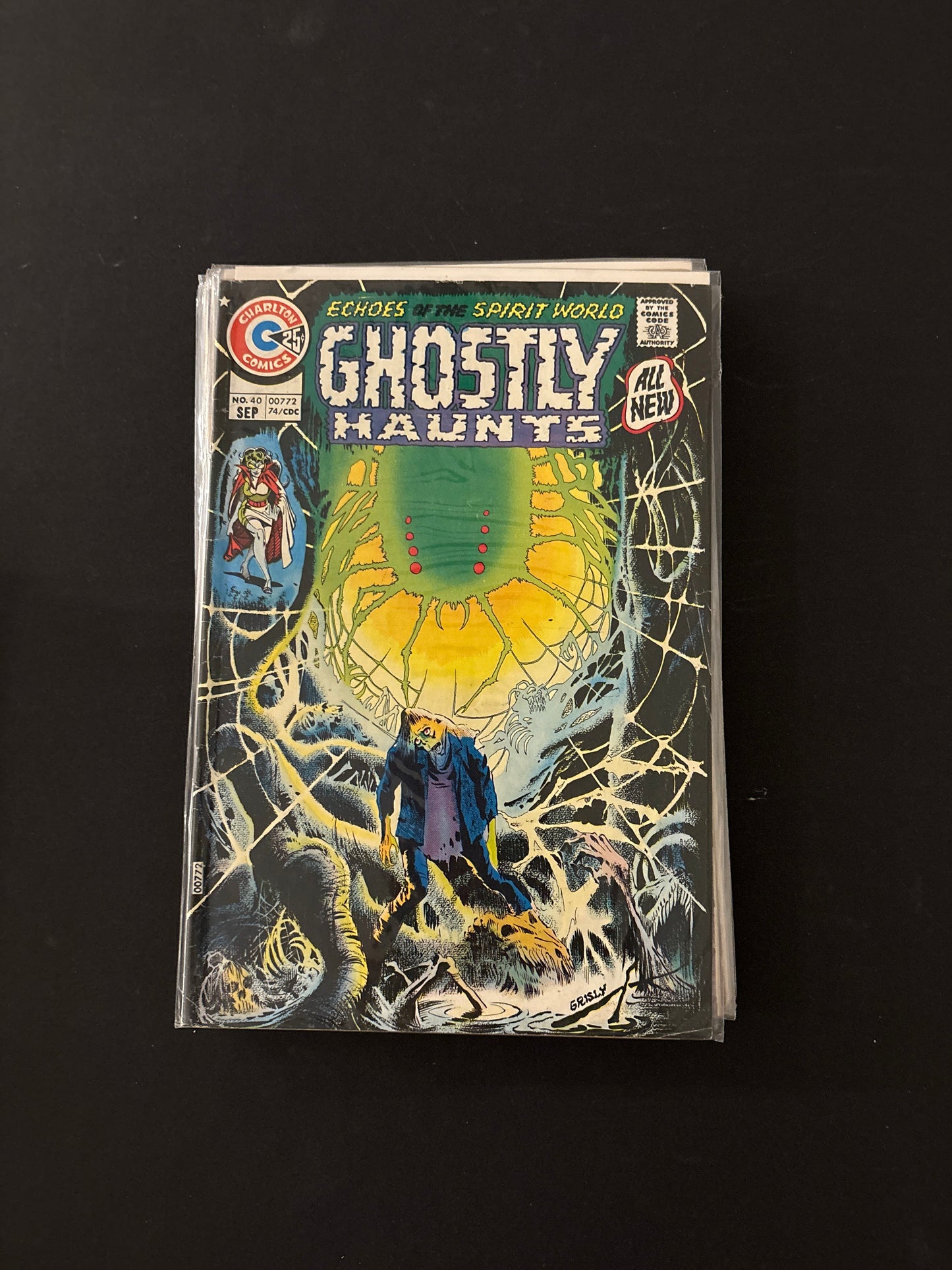 Ghostly Haunts 40