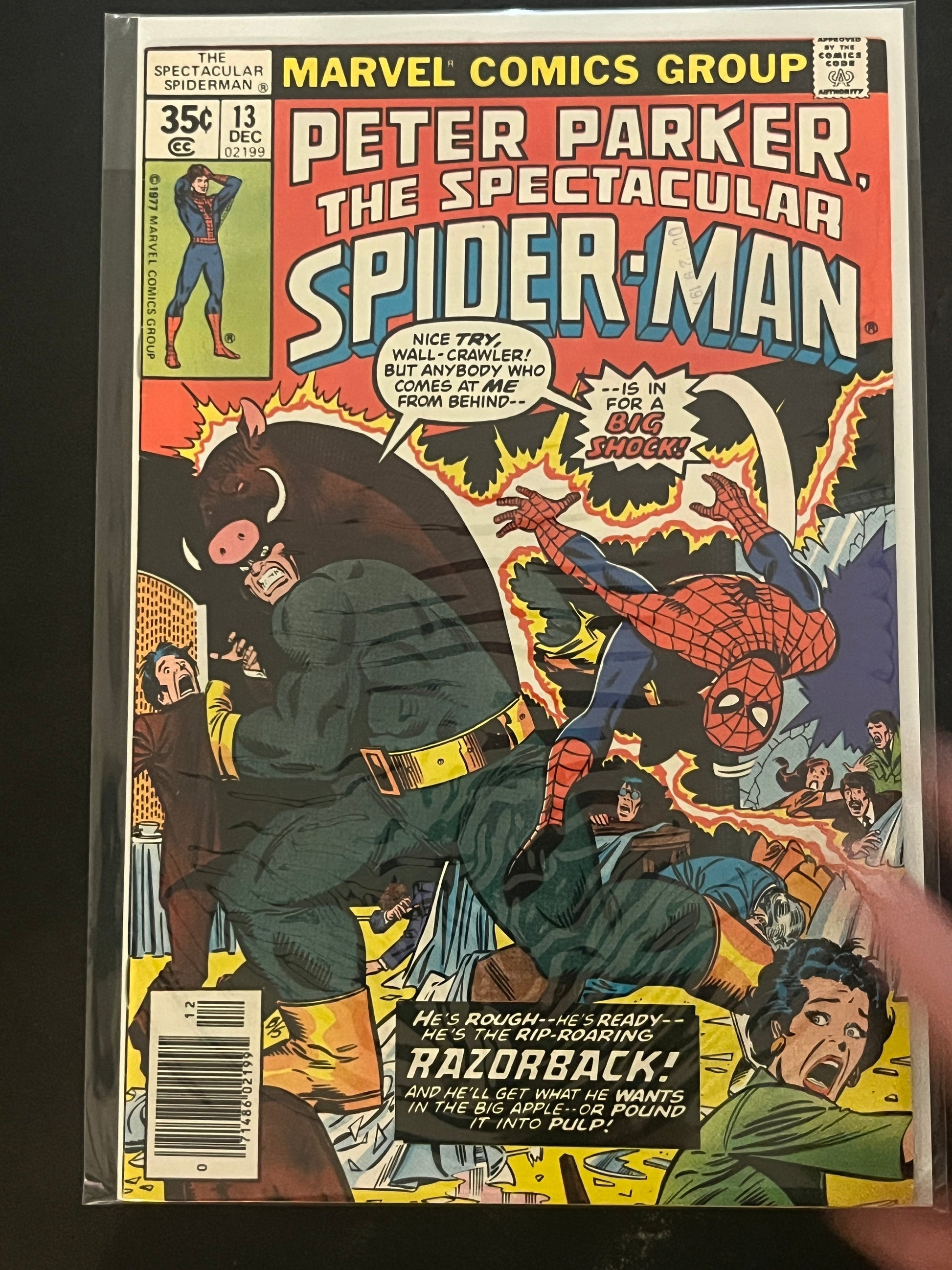 Peter Parker the Spectacular Spider-Man 13 NM