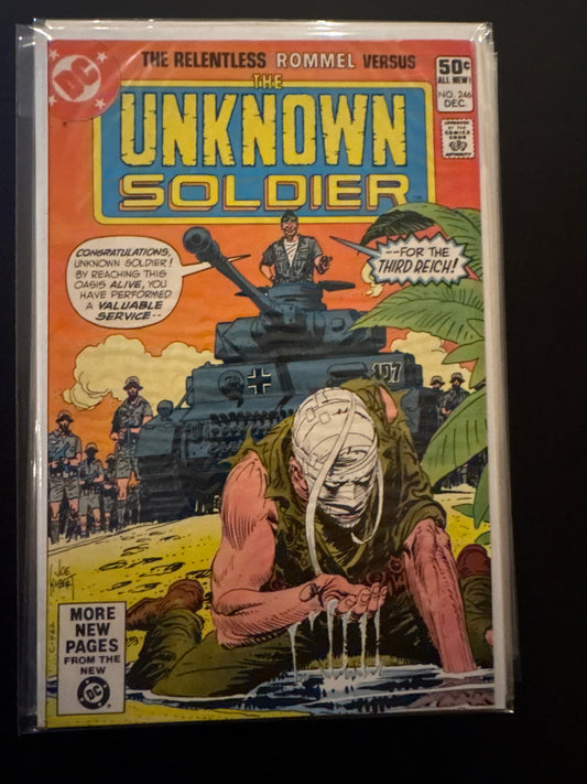 Unknown Soldier 246 NM
