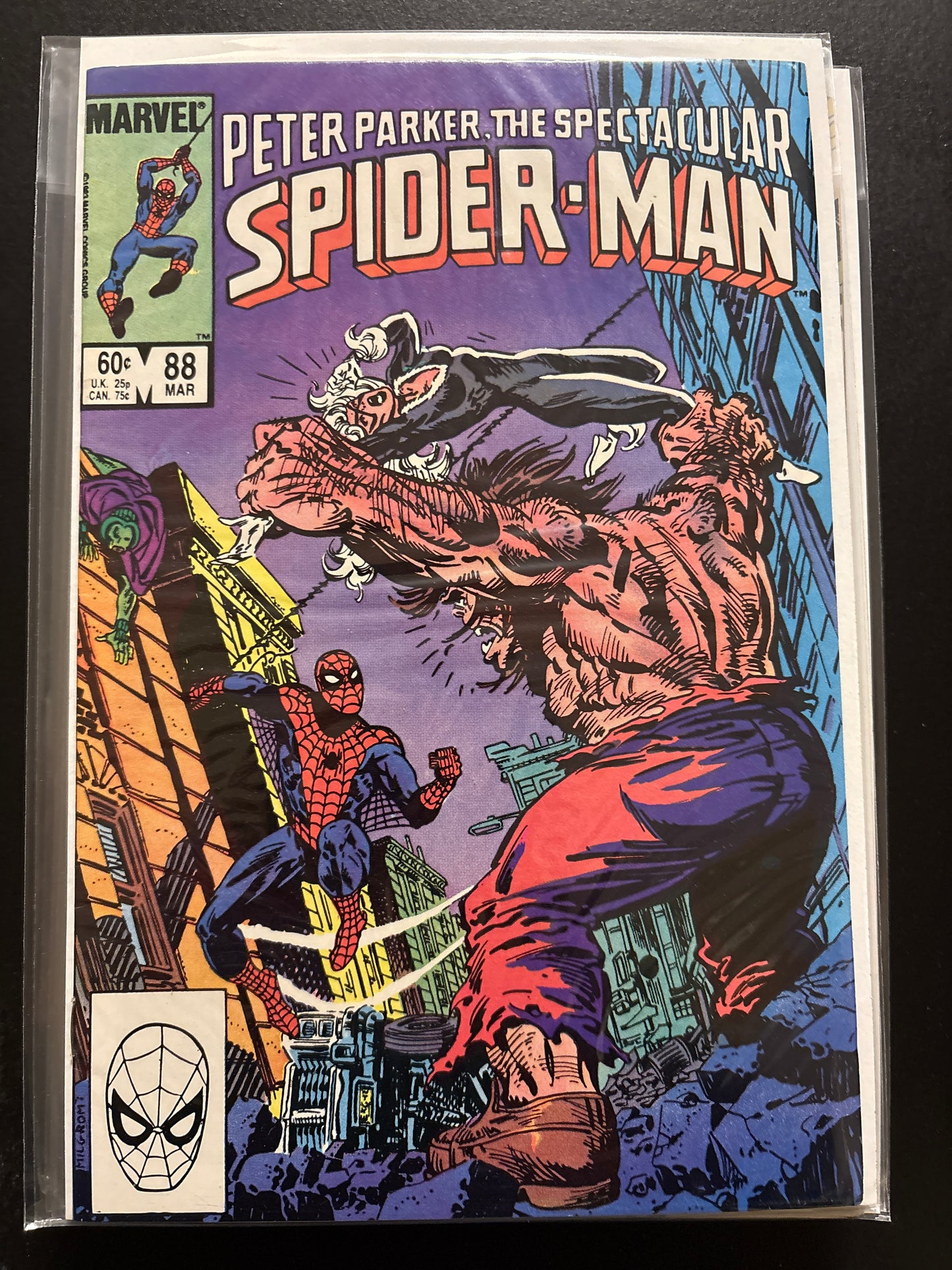 Peter Parker the Spectacular Spider-Man 88 NM