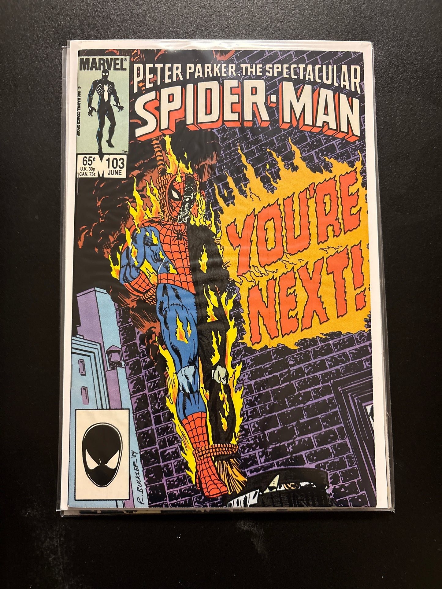 Peter Parker the Spectacular Spider-Man 103 NM
