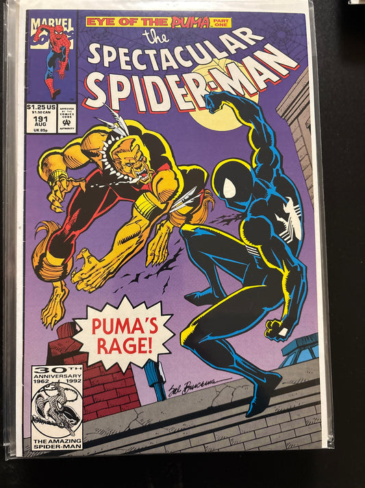 Peter Parker the Spectacular Spider-Man 191 VF