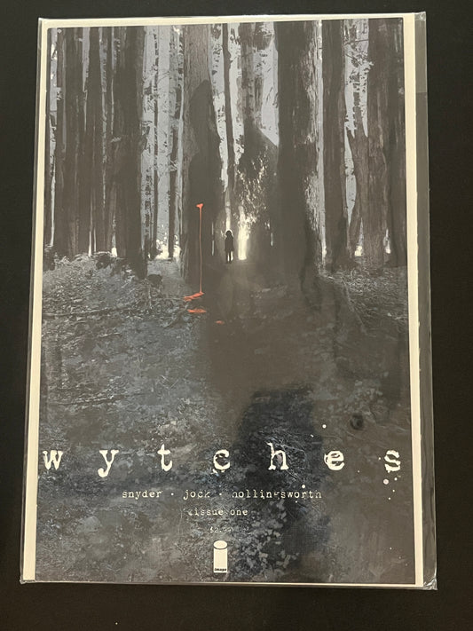 Wytches 1 High Grade