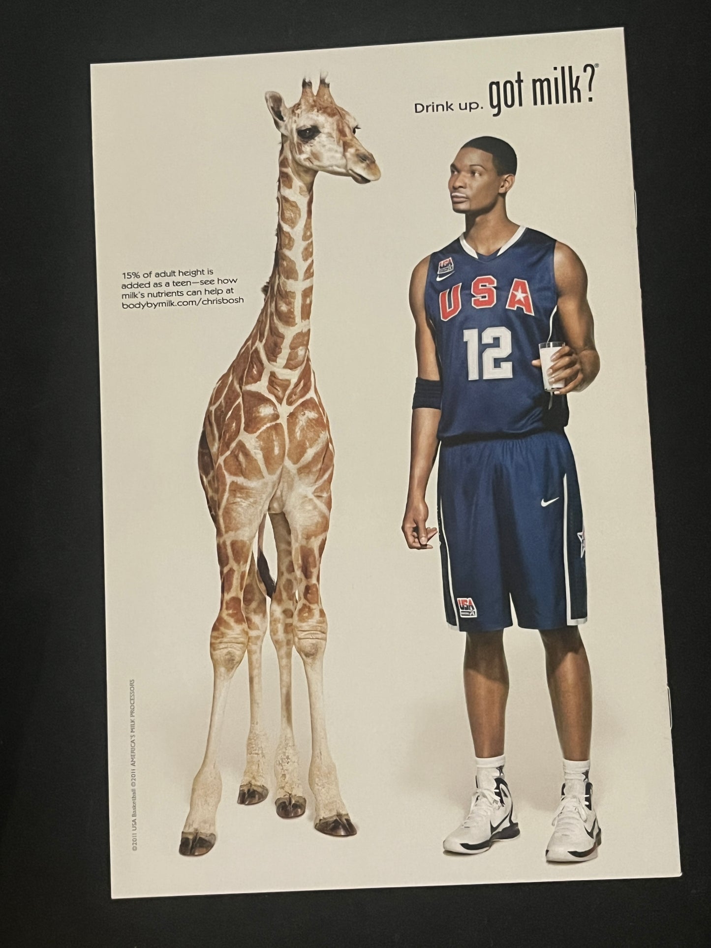 Zatanna 13 High Grade