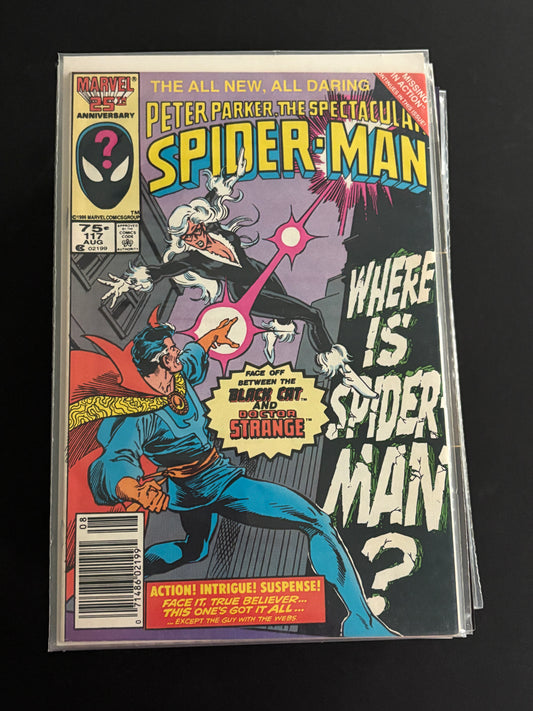 Peter Parker Spiderman 117