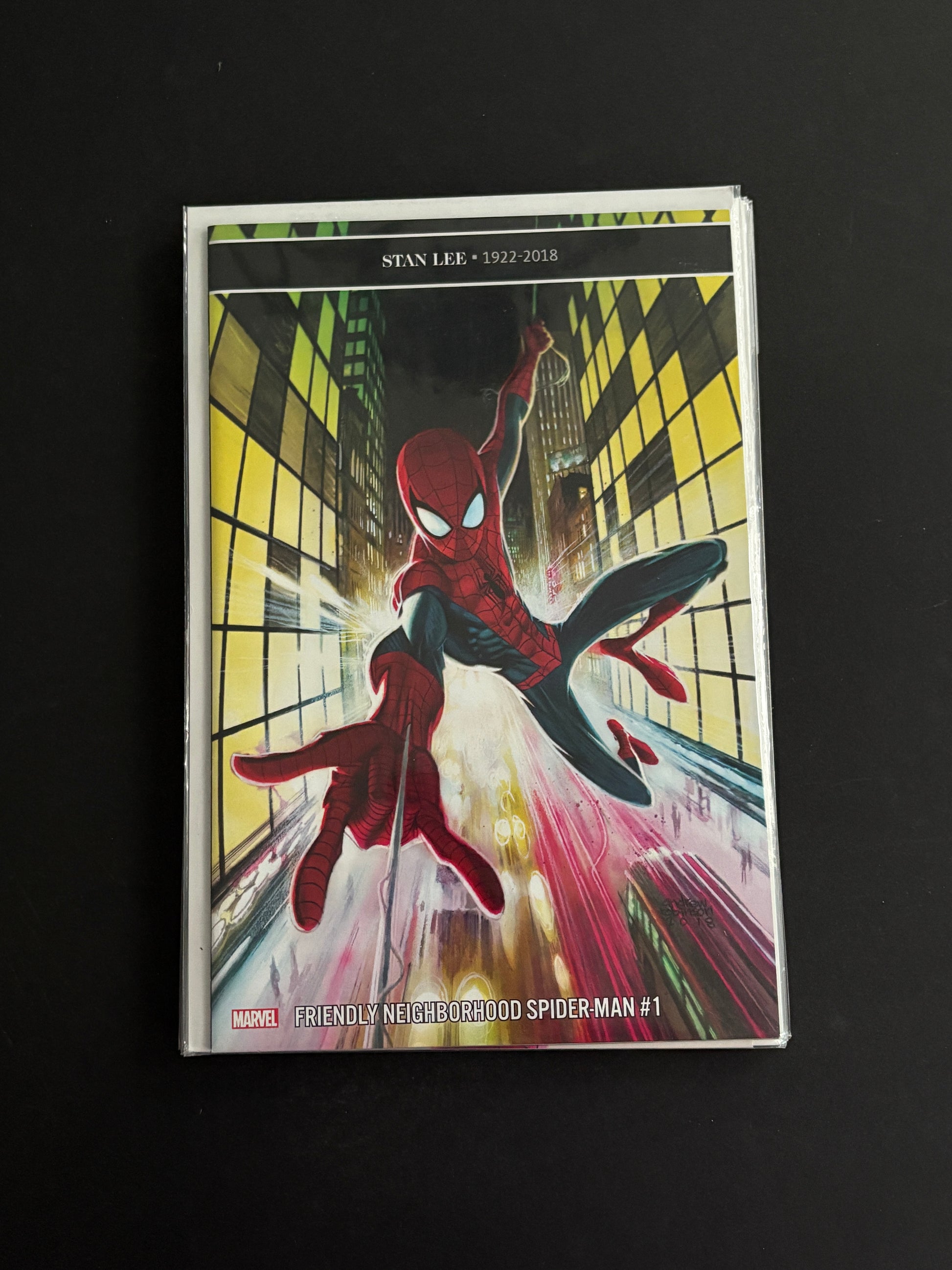 Friendly Neighborhood Spiderman 1