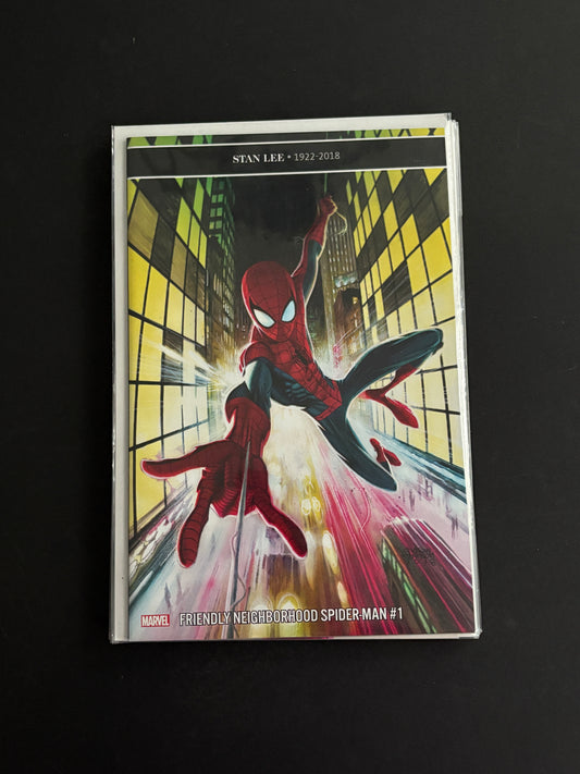 Friendly Neighborhood Spiderman 1