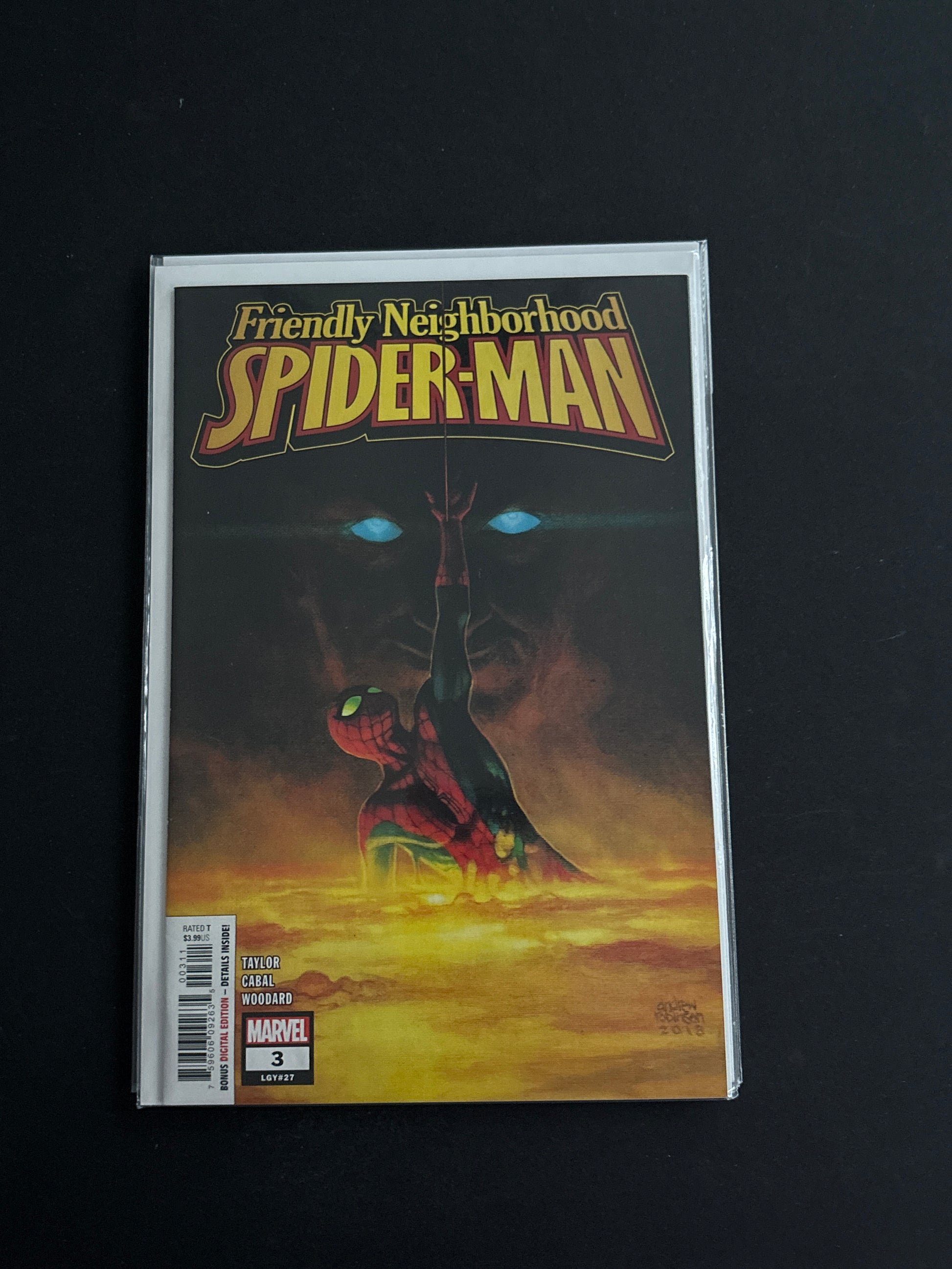 Friendly Neighborhood Spiderman 3