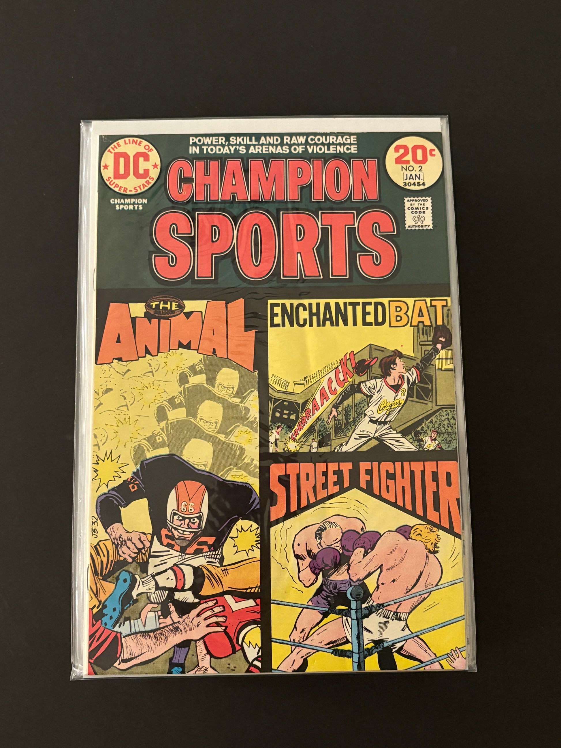 Champion Sports 2