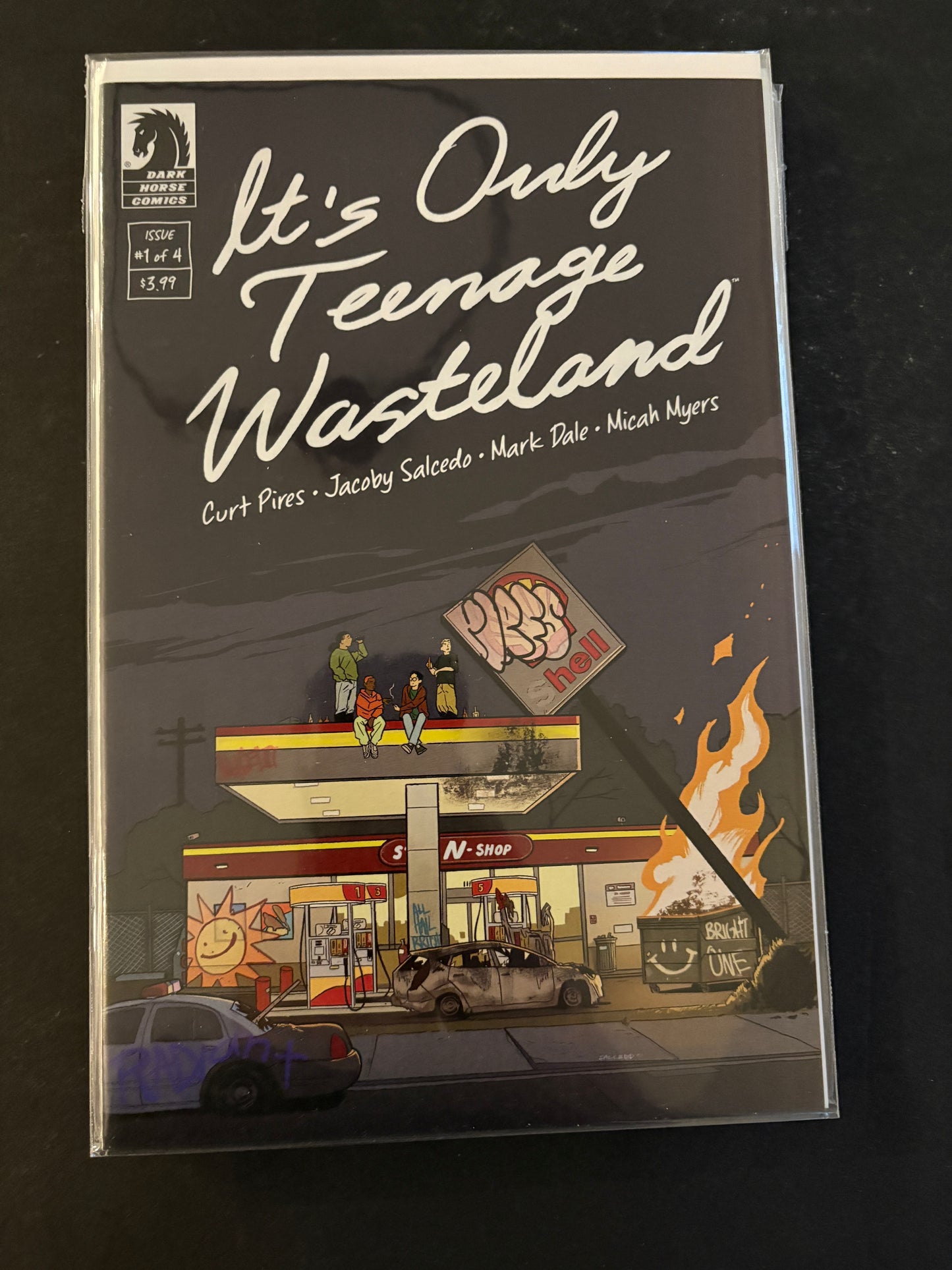 It's Only Teenage Wasteland 1 NM