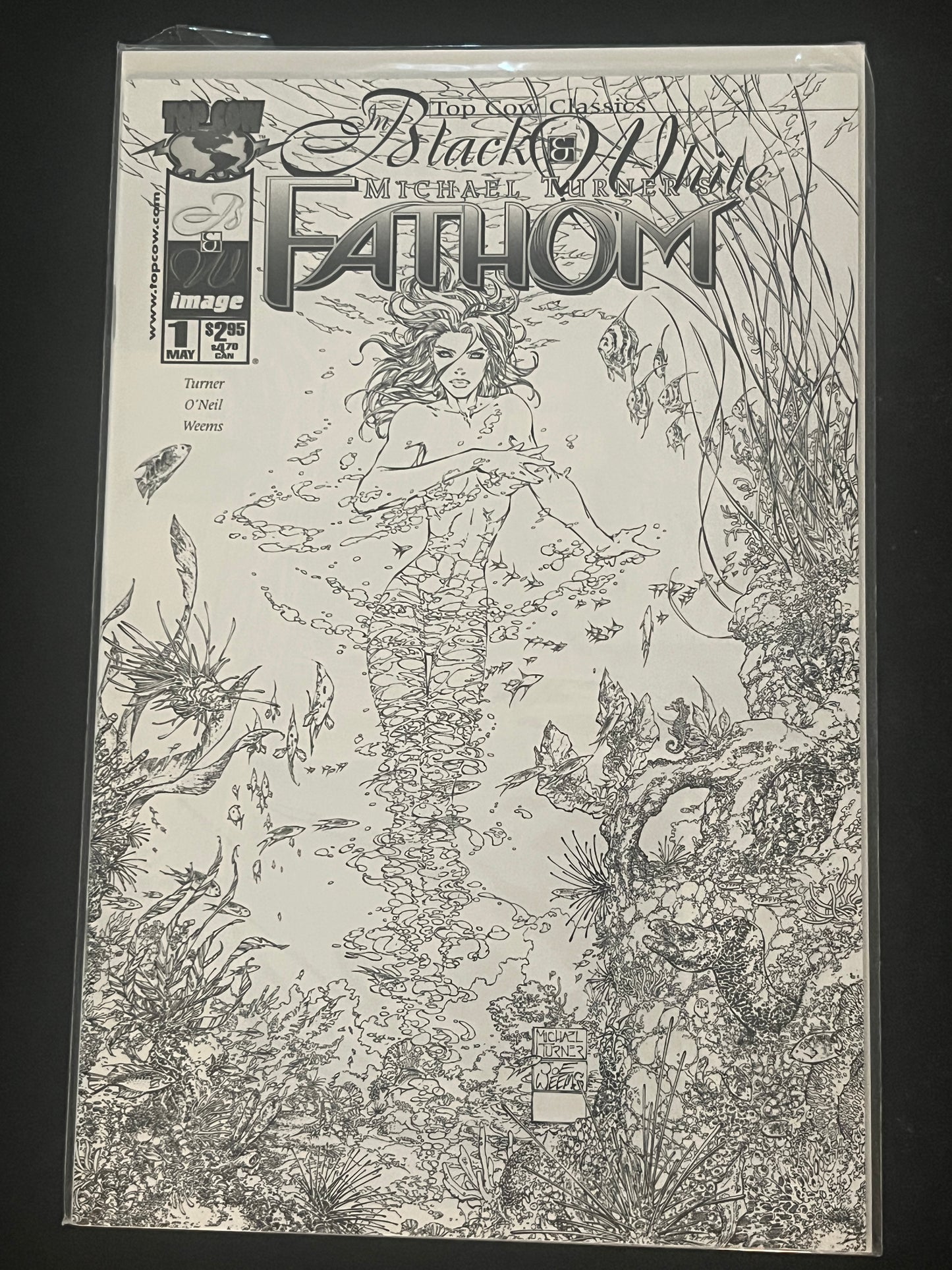 Fathom Black and White 1 High Grade