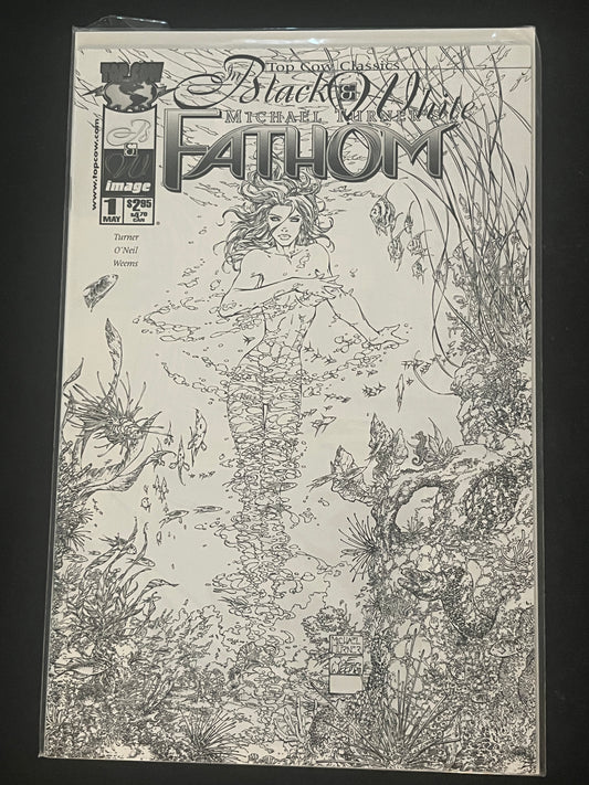 Fathom Black and White 1 High Grade