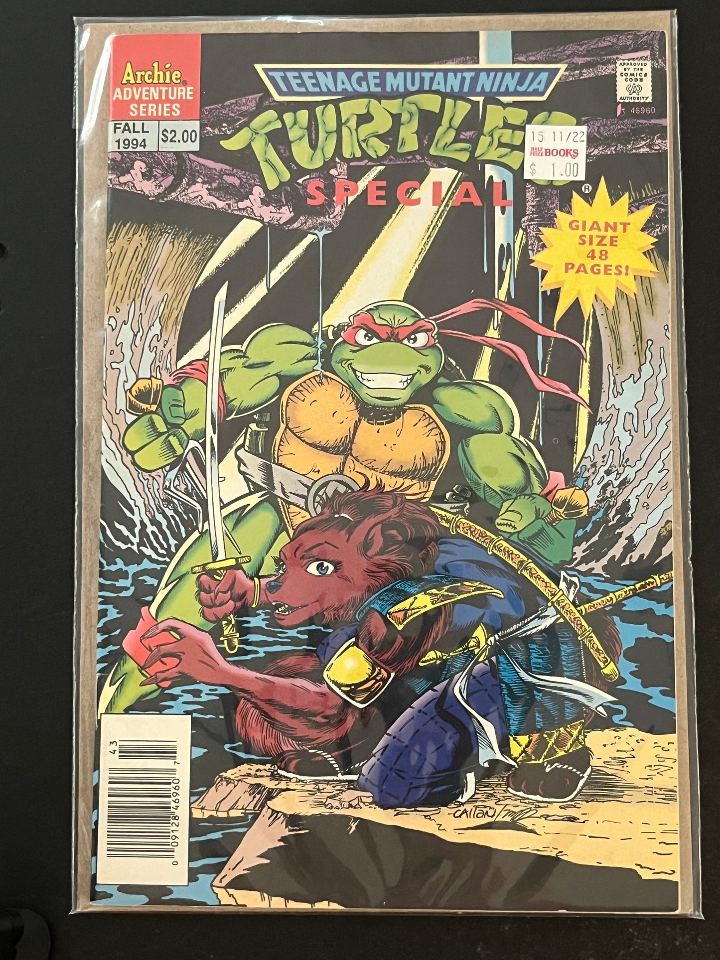 Teenage Mutant Ninja Turtles Special 1 NM